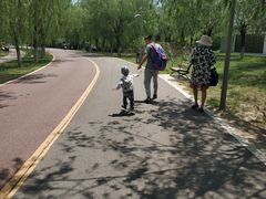 -武清南湖绿博园