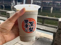 -乌镇东栅景区