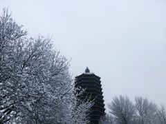 -玲珑塔公园