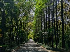 -同里国家湿地公园