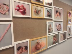 -杭州贝瑞斯美华妇儿医院·早孕·产检·儿科