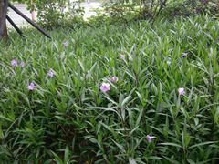 -乐享养生(东湖店)