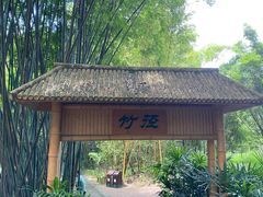 -大屏嶂森林公园