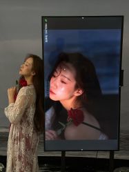 -懒猫摄影studio写真馆