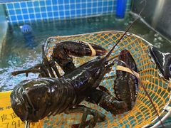 -坛南湾阿强农家乐.海鲜大排档老字号(福州地标美食店)