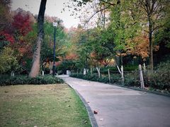 -杭州黄龙洞