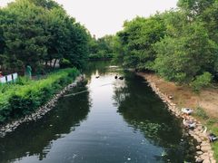 景点-长白岛森林公园
