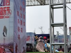 -荷兰花海