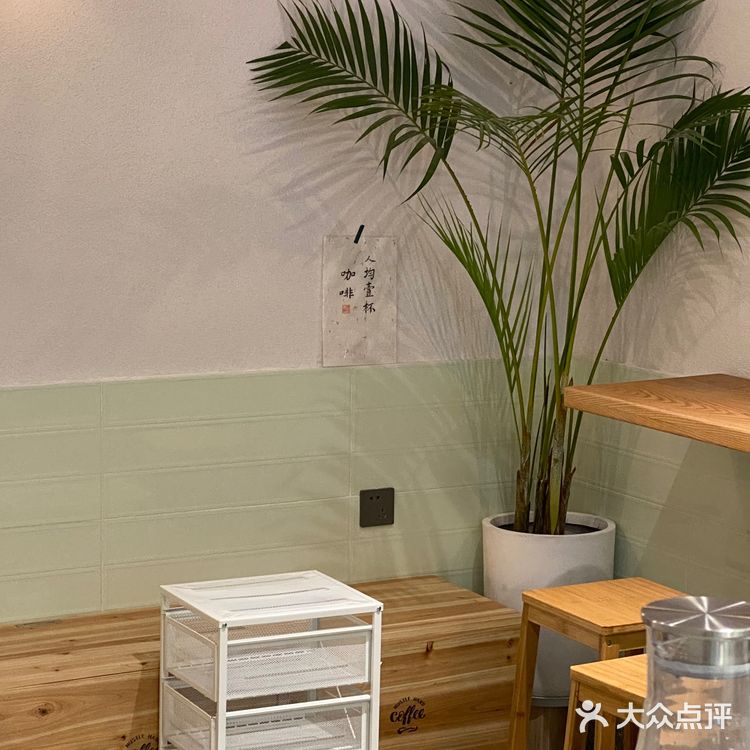 成都新店 | 好喝不贵的简约森系咖啡店