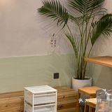 成都新店 | 好喝不贵的简约森系咖啡店