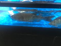 -盒马鲜生(馥邦国际店)