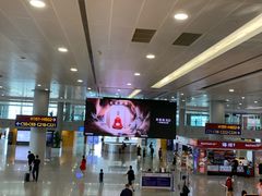 -上海浦东国际机场-T2航站楼