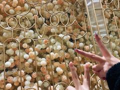 -琼菜王(南海店)