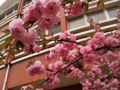 -山东大学(软件园校区)