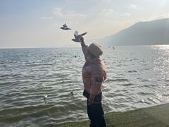 -滇池海埂公园