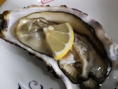 新西兰生蚝-蚝专家(北滘店)