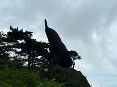 -黄山风景区