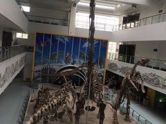 -中国地质大学逸夫博物馆