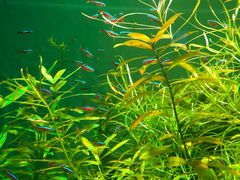 -多彩贵州城极地海洋世界