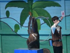 -石家庄极地海洋世界