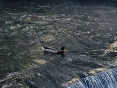 -水磨沟公园
