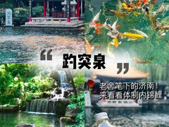 -老板恋上鱼(恒隆广场店)