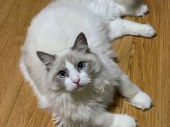 -黑土印象菜馆(三元桥店)