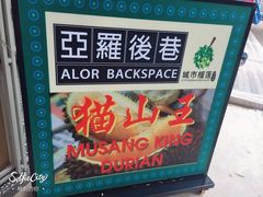 -都念榴莲·城市榴莲