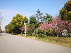 -石湖景区