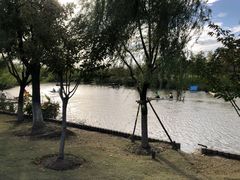 -上海长兴岛郊野公园