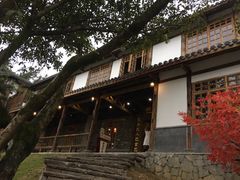 -伴山茶苑·一盏冰茶·半日山居