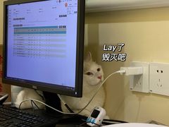 -萌兽医馆·犬猫专科·眼科中心·宠物医院(朝阳门分院)