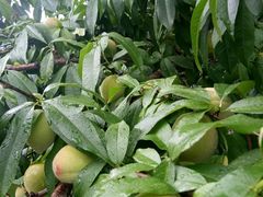 -南京金牛湖风景区