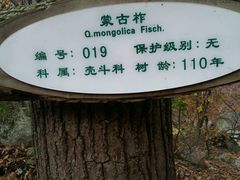 -丹东天桥沟景区