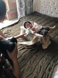 -WPlus明星肖像亲子全家福摄影