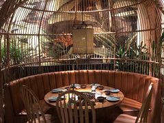 -大头椰·椰子鸡火锅(南宁万象城店)