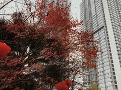 -重庆抗战遗址博物馆