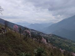 -九皇山景区