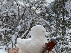 -九峰山