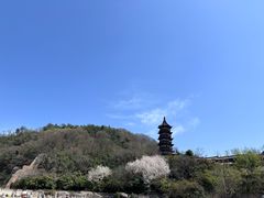 -牛首山文化旅游区