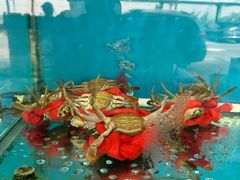 -崖口红树林海鲜餐厅