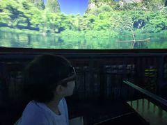 -郑州方特梦幻王国