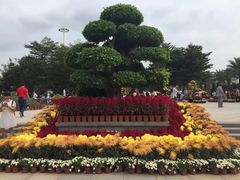 -五通灯塔公园