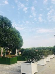 点击看大图 -伊莎贝拉婚礼庄园(顾村店)