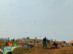 -滆湖低碳生态公园