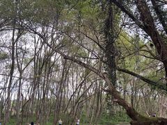 -西溪南古村落