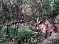 -大岭沟猕猴桃谷风景区
