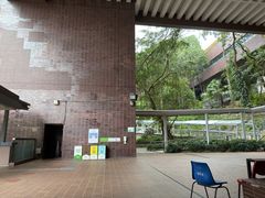 -香港大学