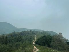 -北京鹫峰国家森林公园