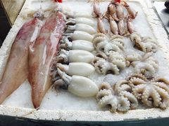-蚝专家(北滘店)